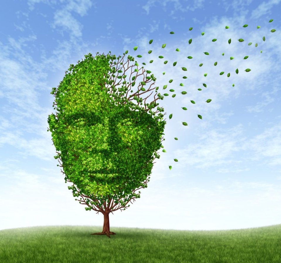 Alzheimer ve demans farkı